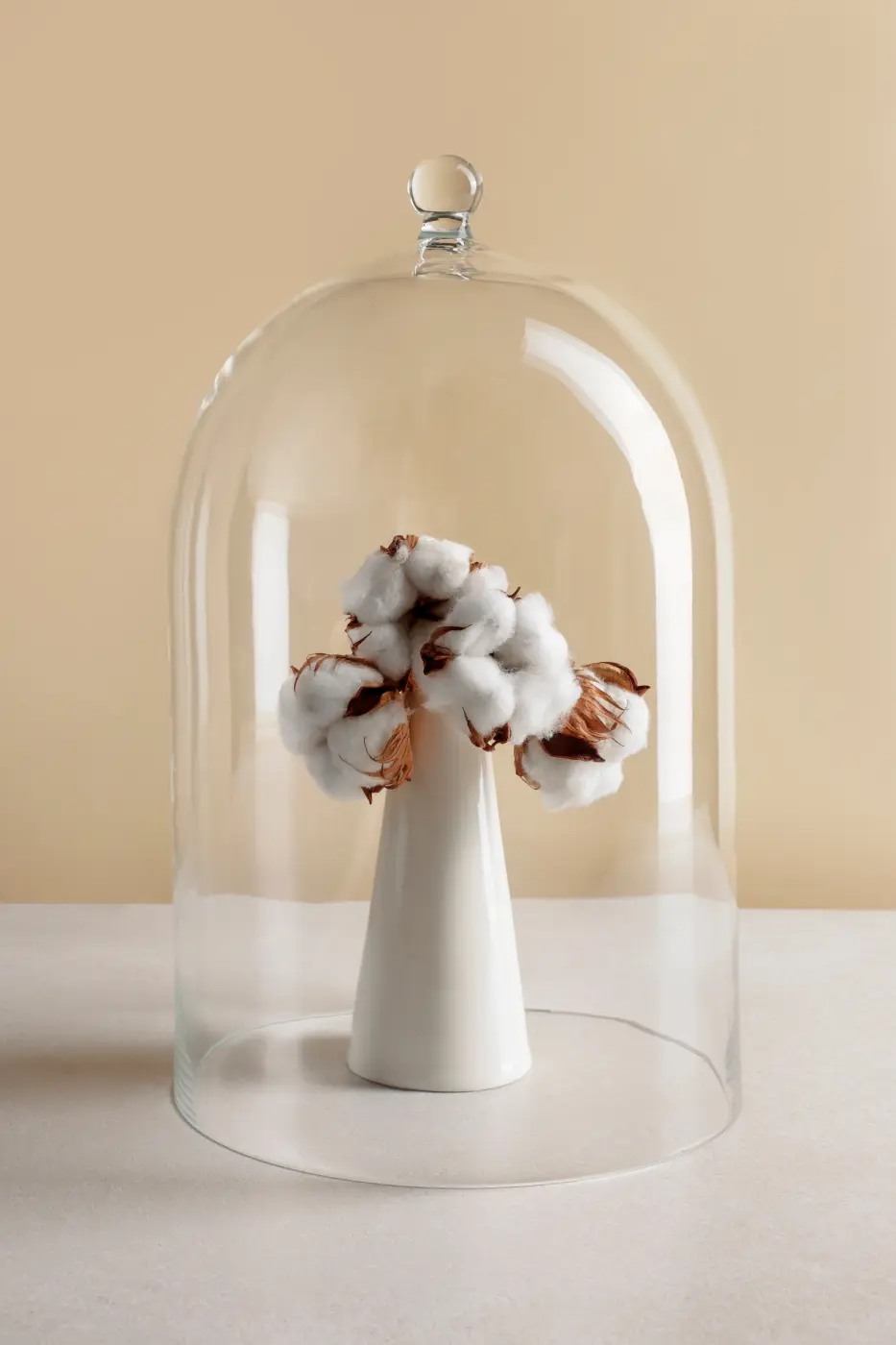 Dôme en verre protégeant un petit objet décoratif dans une vitrine